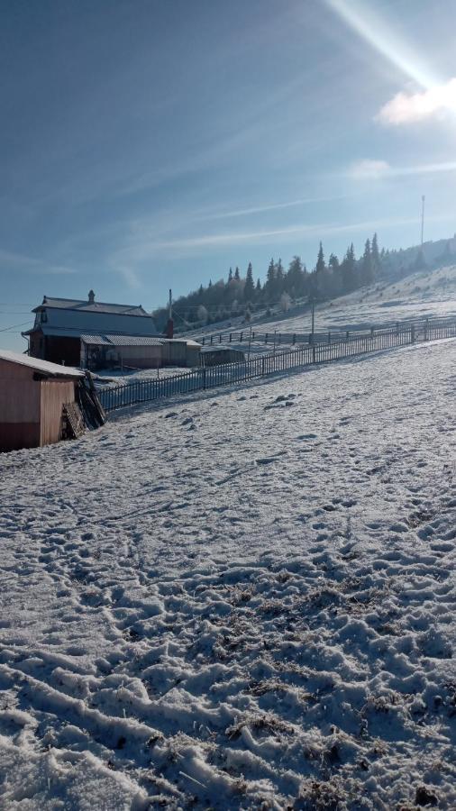 Gutsulska Oselya Villa Krivopol'ye Buitenkant foto