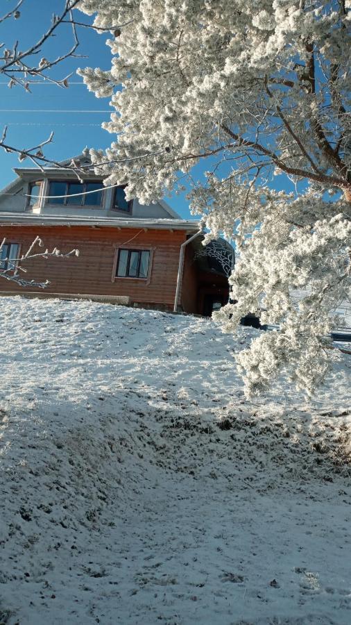 Gutsulska Oselya Villa Krivopol'ye Buitenkant foto