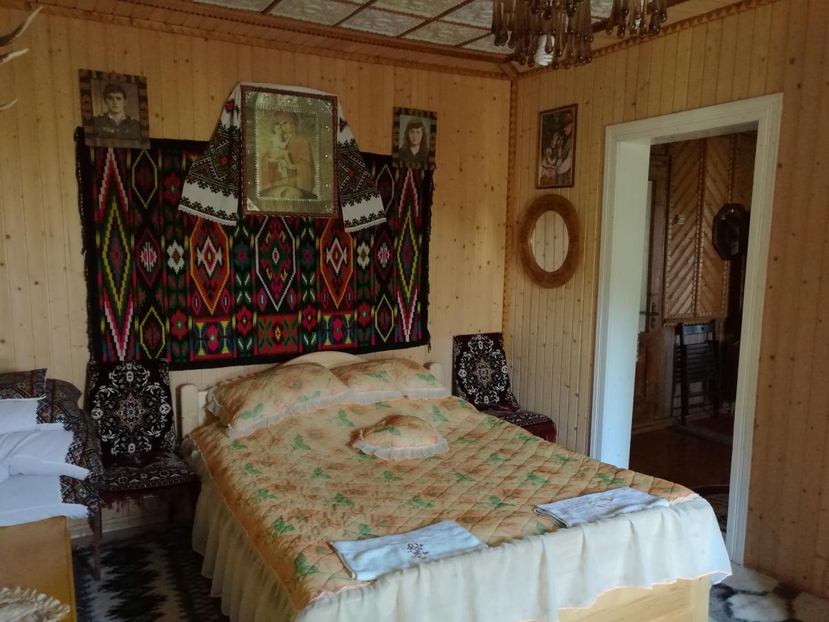 Gutsulska Oselya Villa Krivopol'ye Buitenkant foto