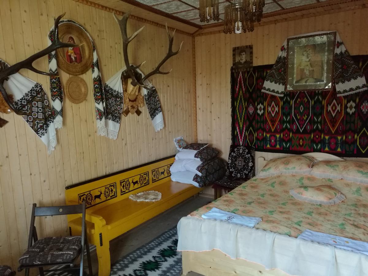Gutsulska Oselya Villa Krivopol'ye Buitenkant foto