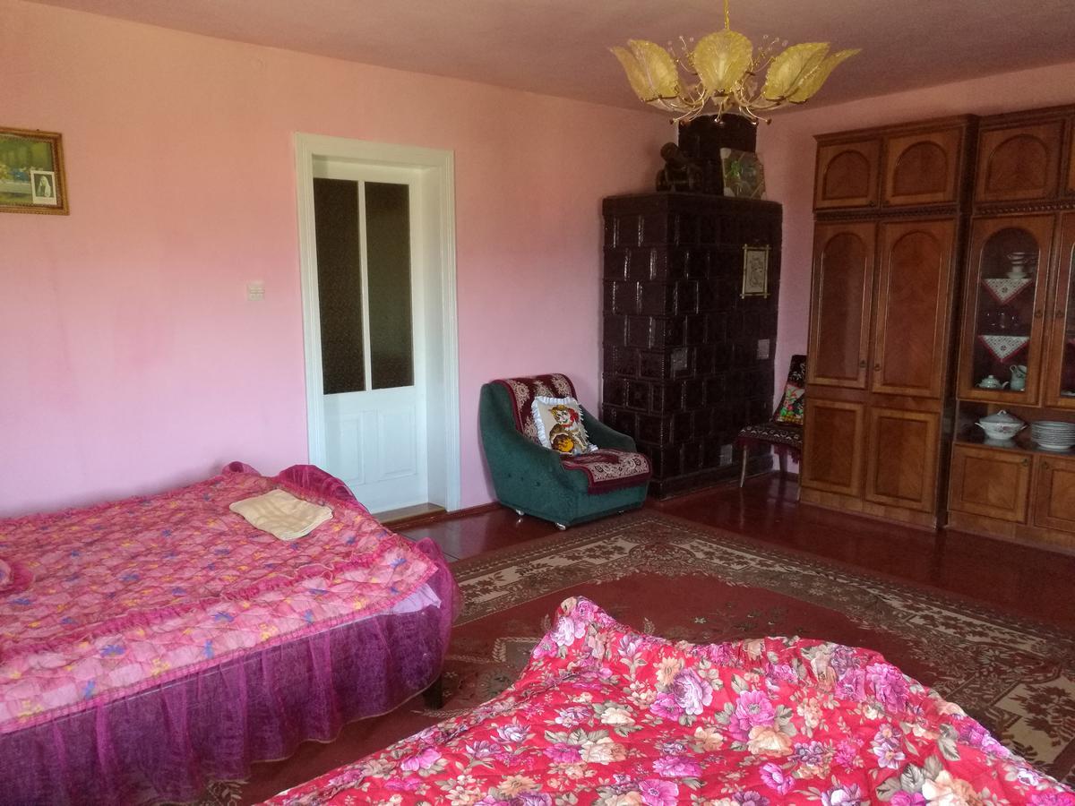 Gutsulska Oselya Villa Krivopol'ye Buitenkant foto